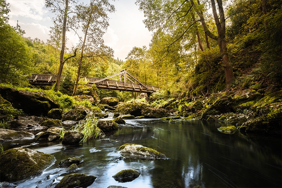 Eine Holzbrücke über einem Bach im Wald im Naturschutzgebiet Höllental.